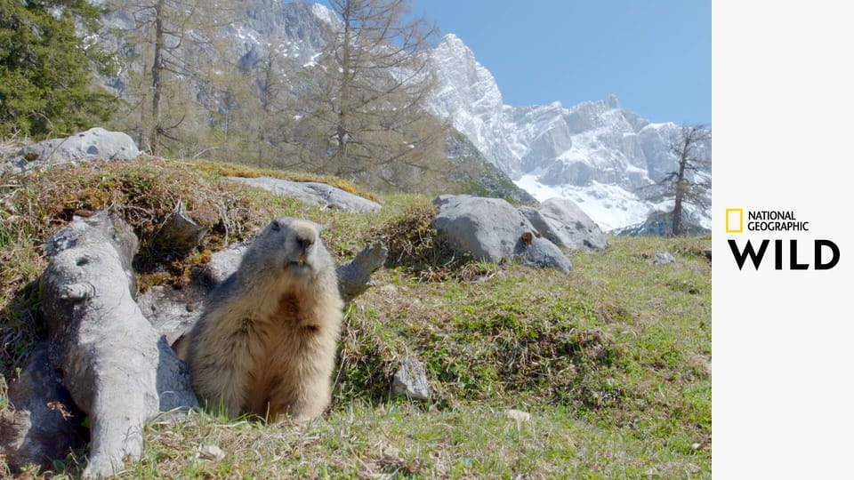 Скрытые чудеса зимы S1E3 - Ледяной мир Европы