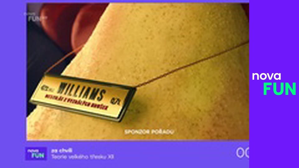 Teorie velkého třesku S12E21 - Plagiátorské schizma