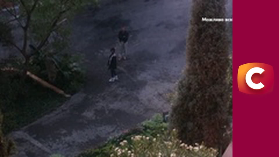 Х/ф "Охоронець".