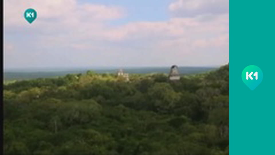 "Орел і Решка. Дайджест".