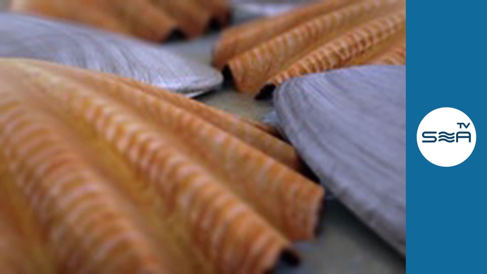 Дари моря - Делікатеси