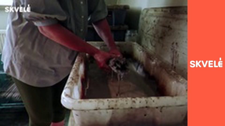 V Remesle - Výroba košíkov