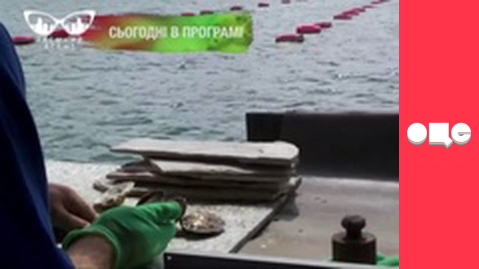 Таємний агент, 3 сезон, 9 еп.