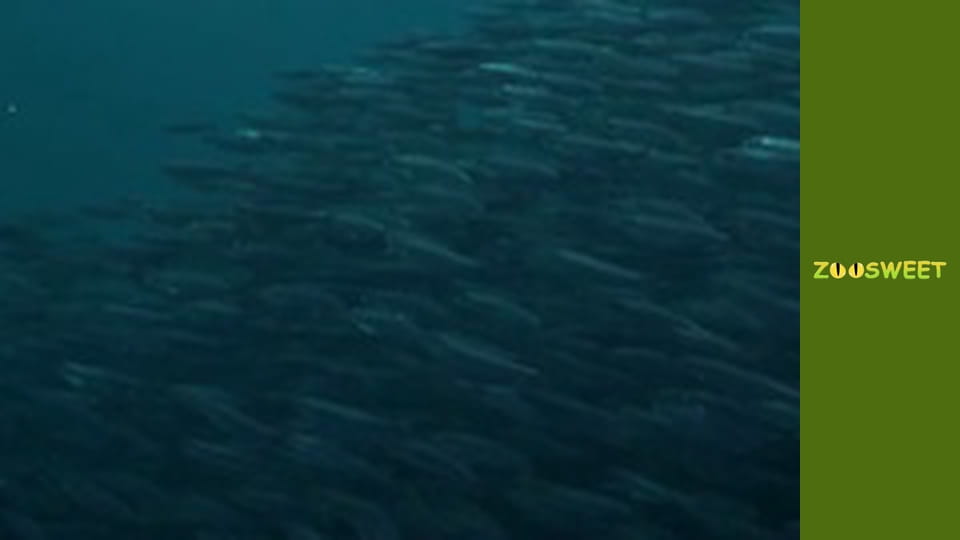 Особливий загін - серія 2