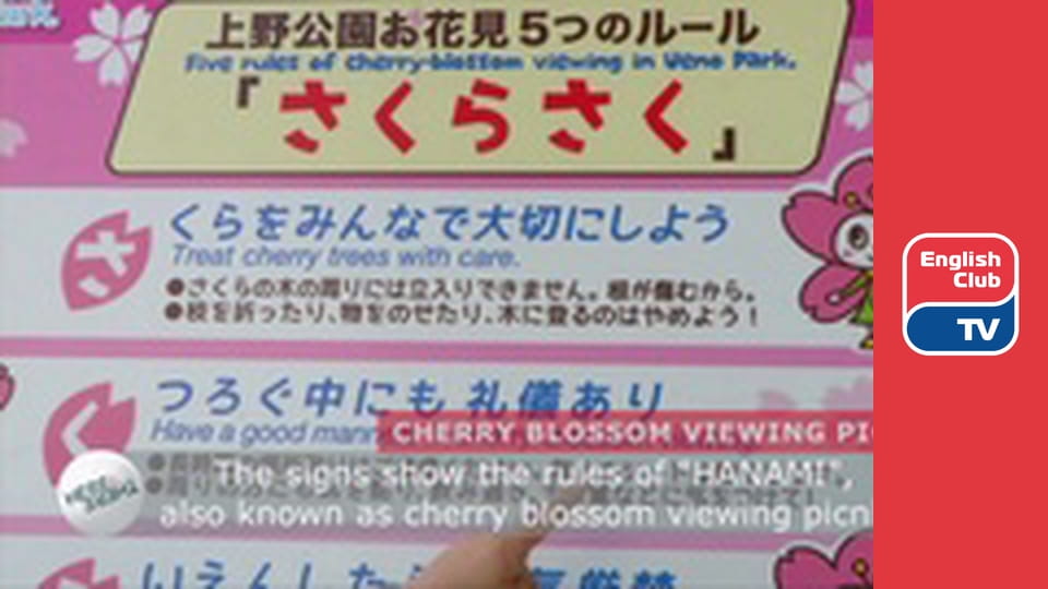 The Language of Business E18 - Wi-Fi company