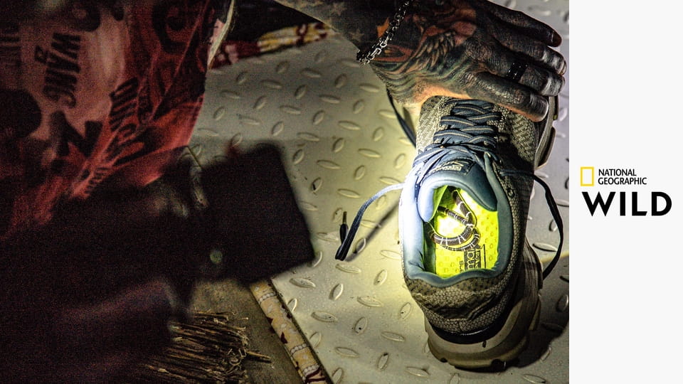 Змеи в городе S9E4