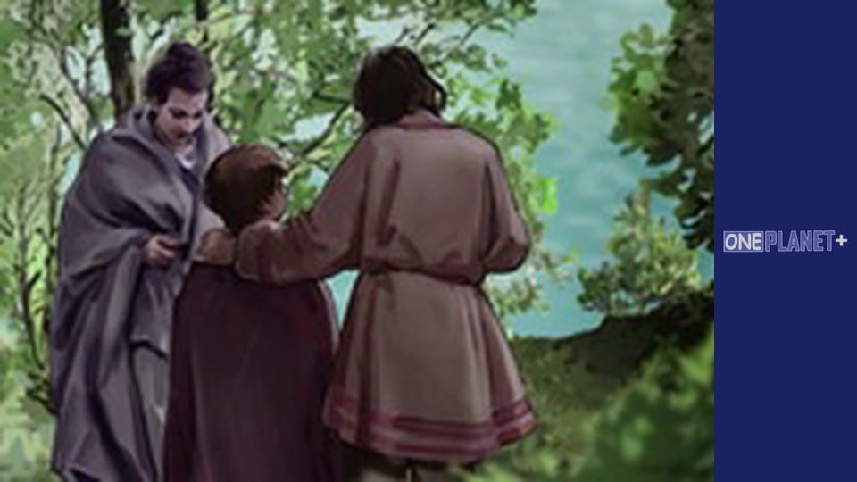 В поисках знаний. - cерия 27