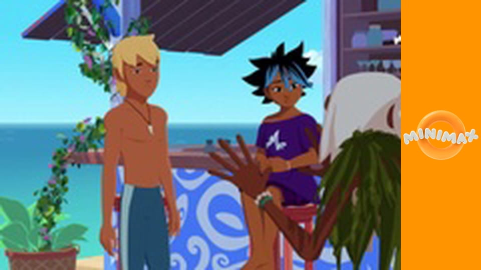 Příhody bílého delfína S3E24 - Počítačový pirát