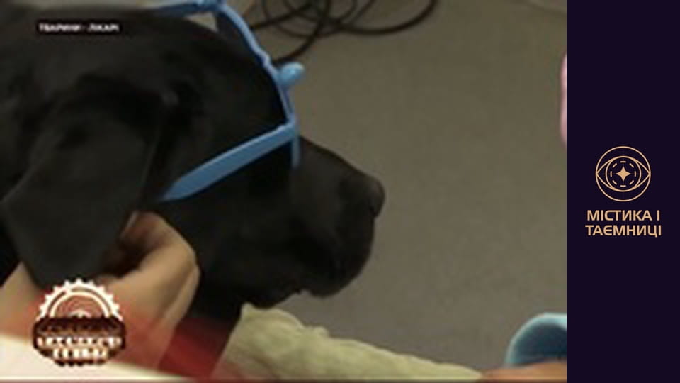 Таємниці світу. Тварини-лікарі