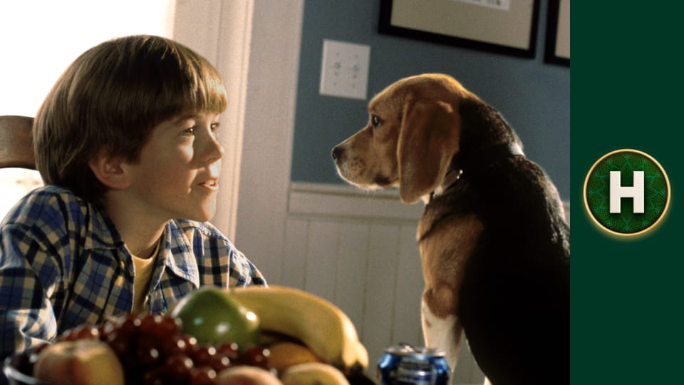 Коти проти собак: Помста Кітті Ґалор