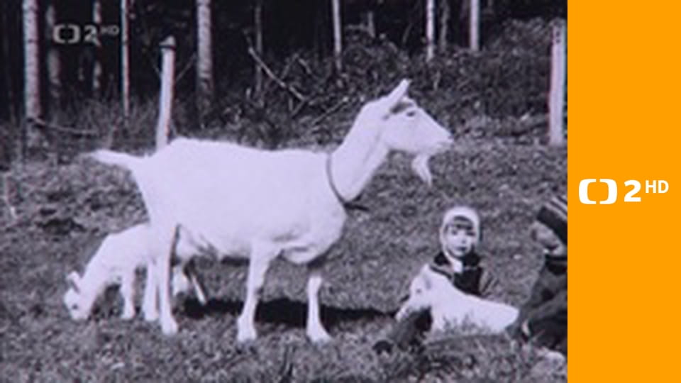 Československý filmový týdeník 1975 E1595