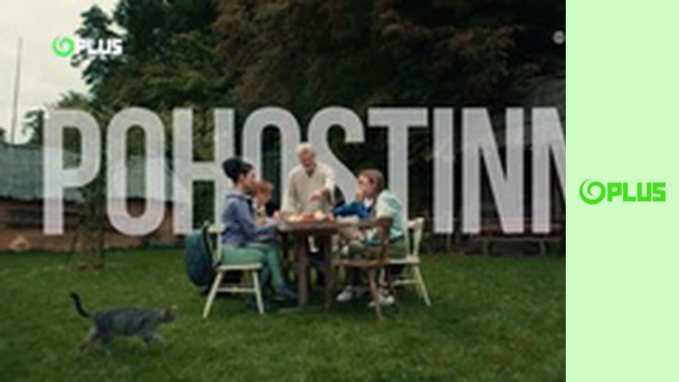 Kráľovský vianočný ples