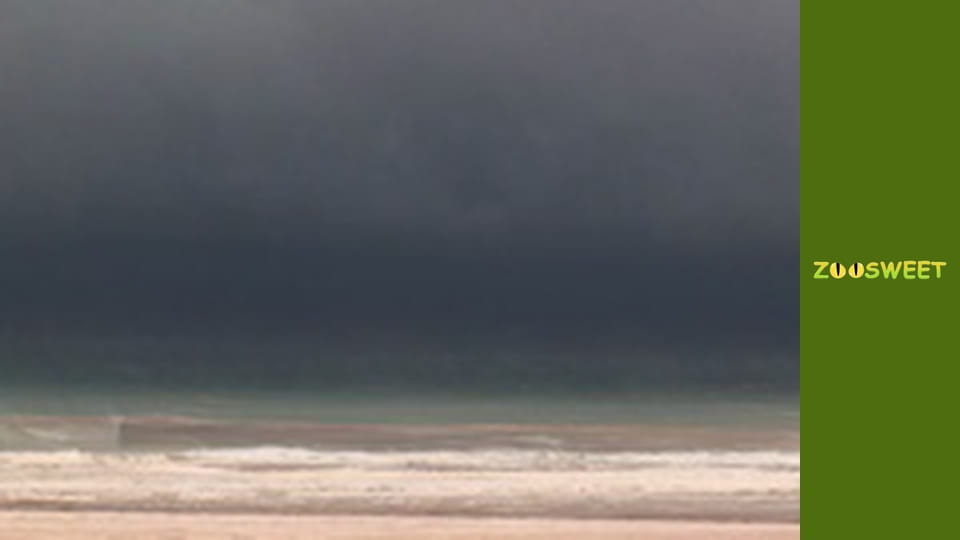 Siaya, Season 1, Episode 4