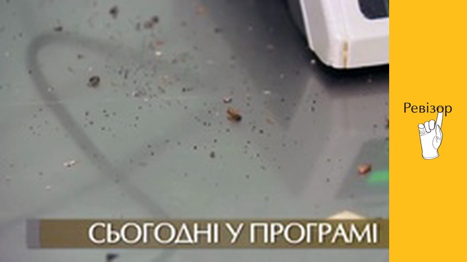 Ревізор, Сезон 7, Випуск 10