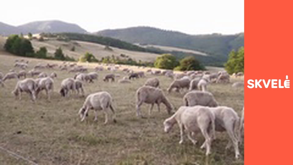 V Kuchyni - Tradičný slovenský salaš