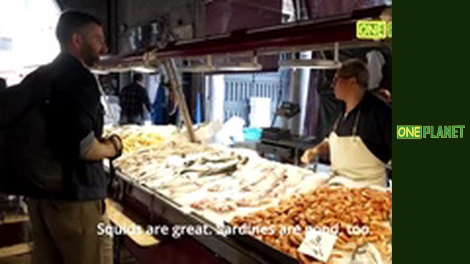 Новый маршрут, 5 эп.