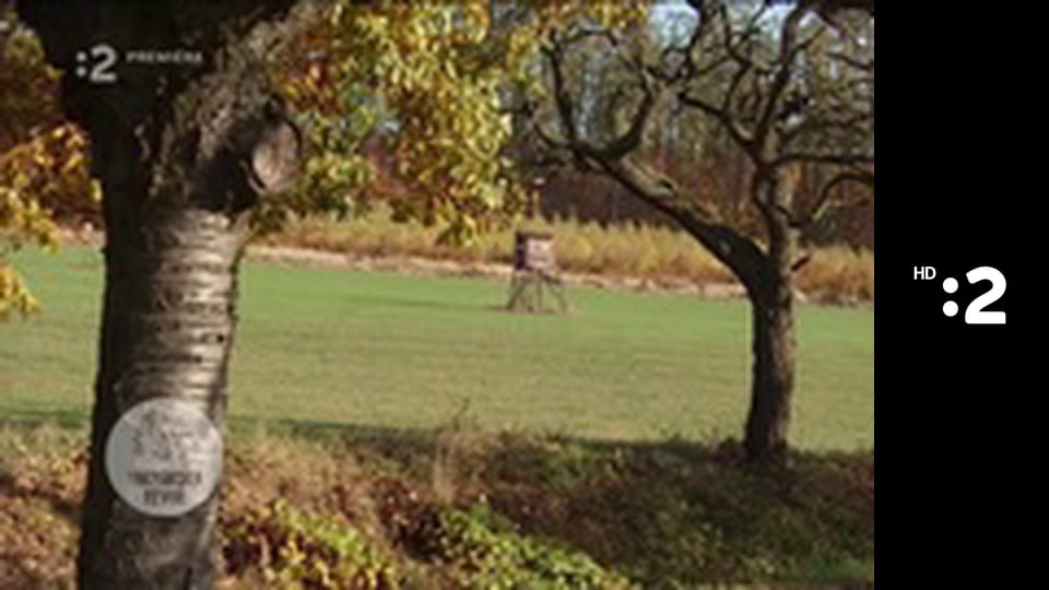 Farmárska revue E44