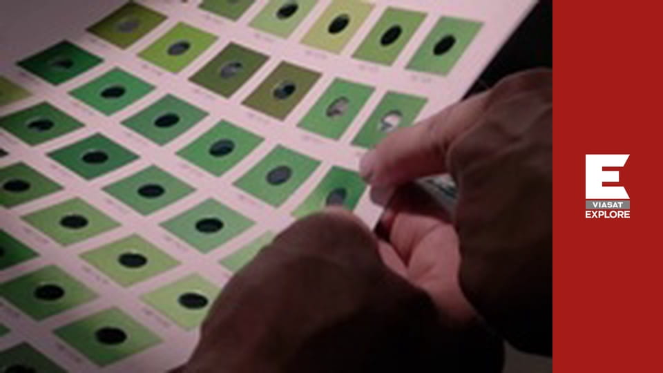 Рятувальникі в буші - Запасний план