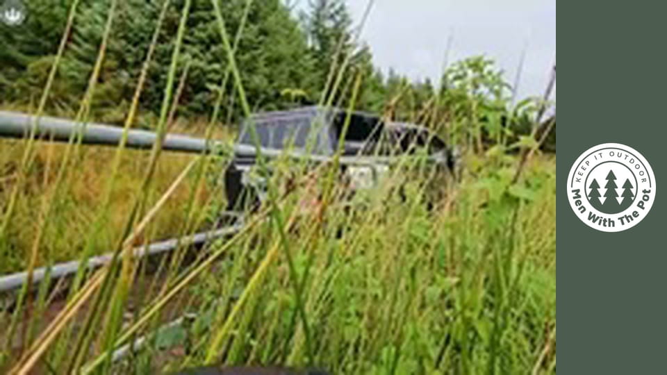 Steak cooked in butter