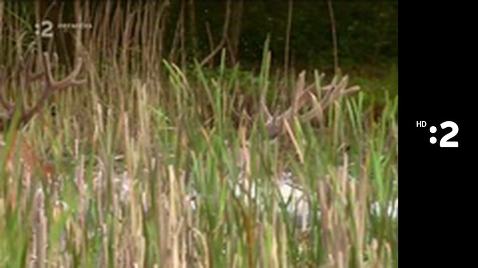 Zázračný miniateliér E99 - Jesenný straško