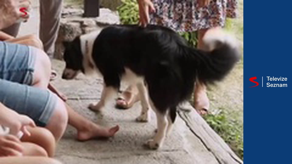 Moje místa E220 - Miluše Šplechtová