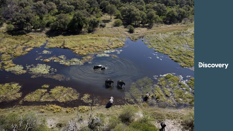 Голые и напуганные S8E3 - Проклятие Чьяпоса