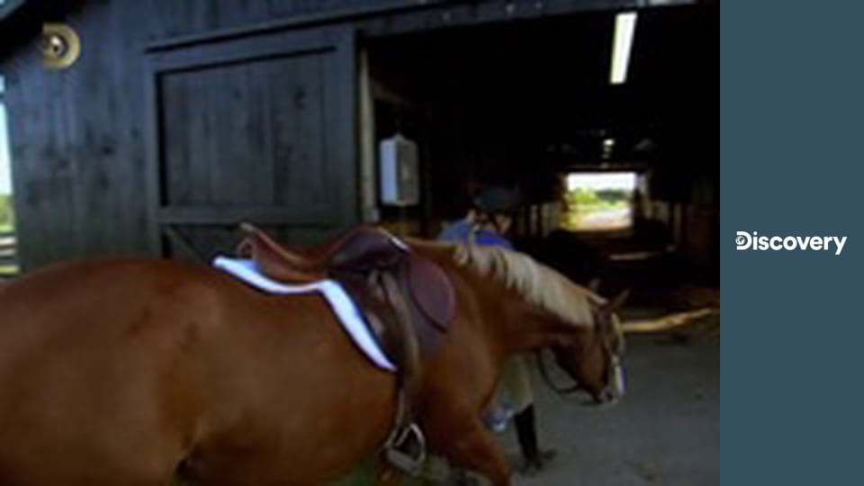 Lovci maličkých domů S2E18 - Maličký domek v Kentucky