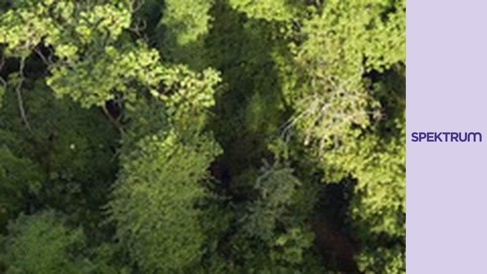 Afrika a magasból S1E5 - Uganda