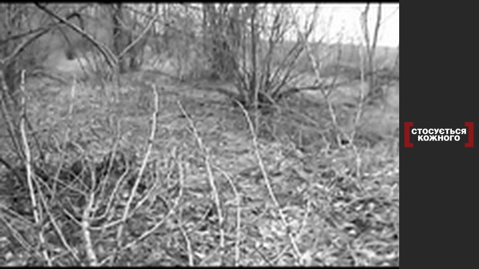 Крижане серце.