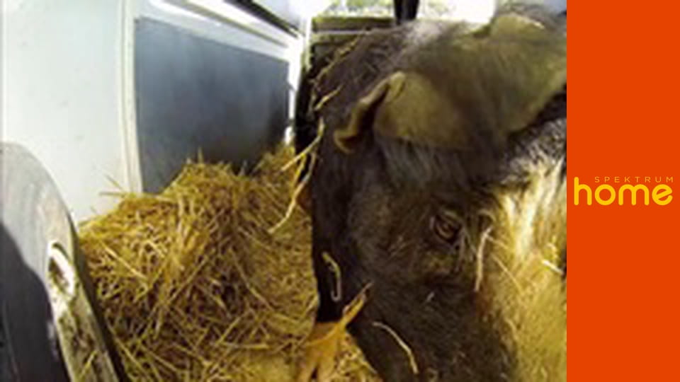 Na chalupě Austrálie S2E1