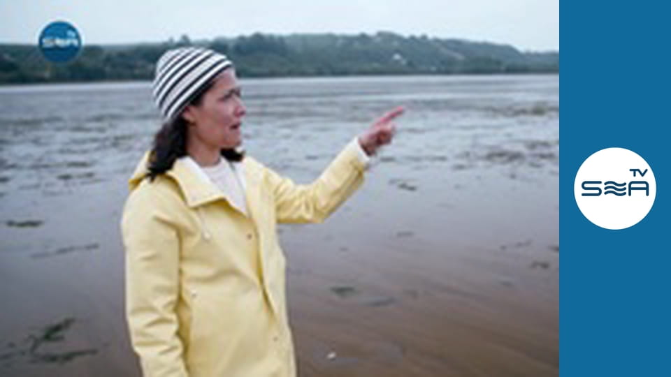 Island Stories - Chiloe