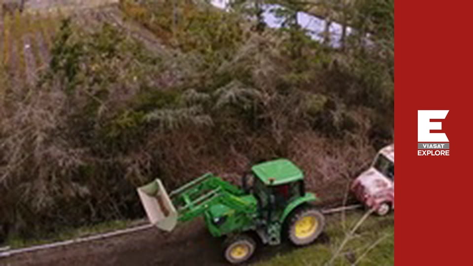 Спасатели в буше - Запасной план