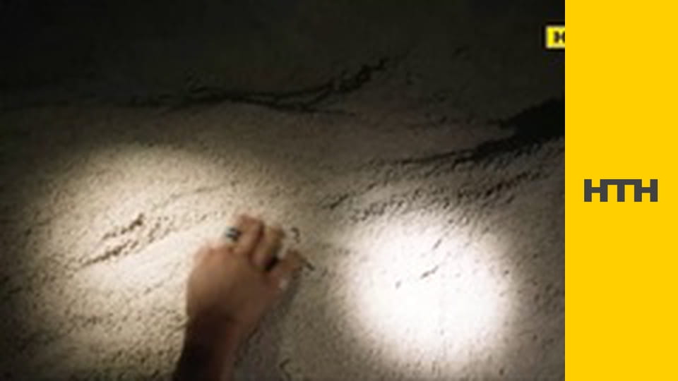 Т/с "Гаваї 5.0", 6 сезон, 12 і 13 с.