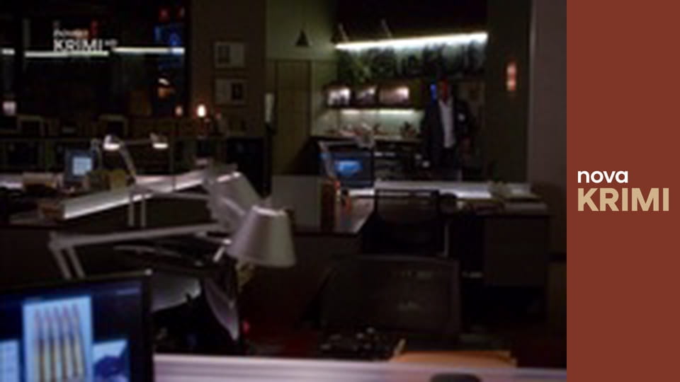 Myšlenky zločince S12E10