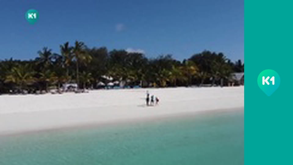 "Пригоди з Яною Метьолкіною".