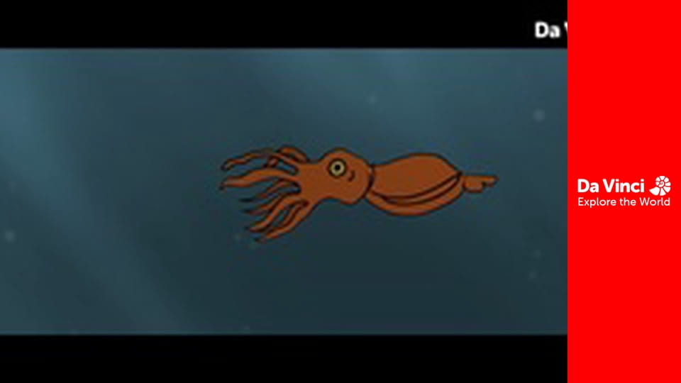 Детеныши - Пингвины