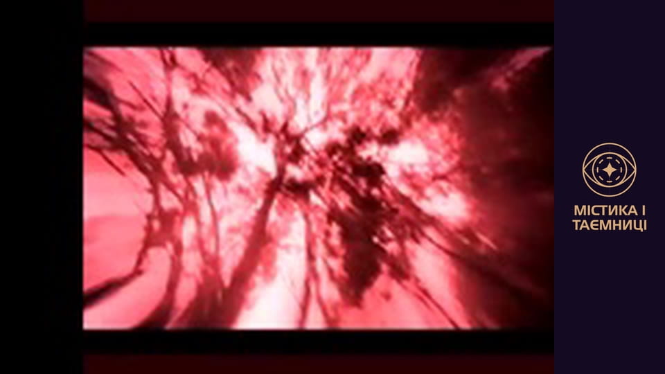 Врата времени. Голос крови