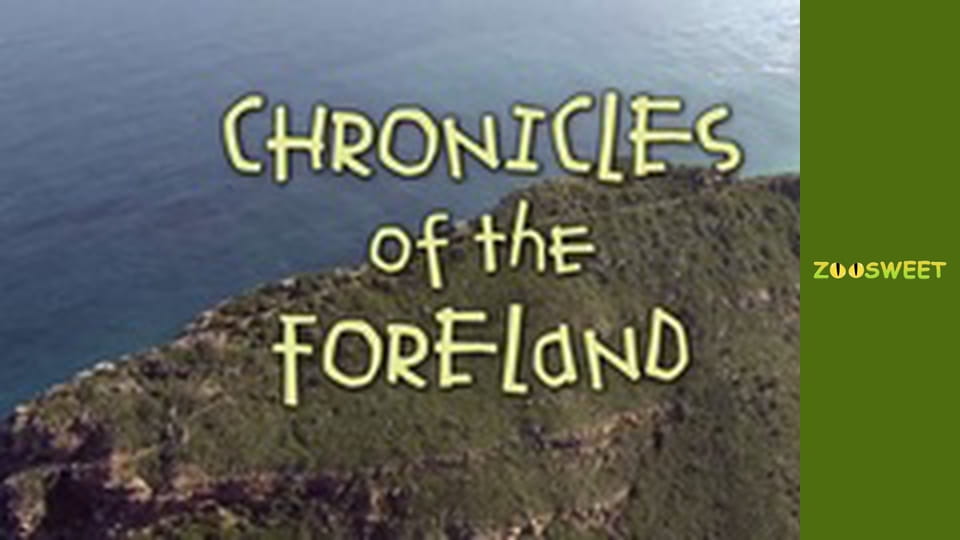 Сіяйа, Сезон 1, Випуск 7