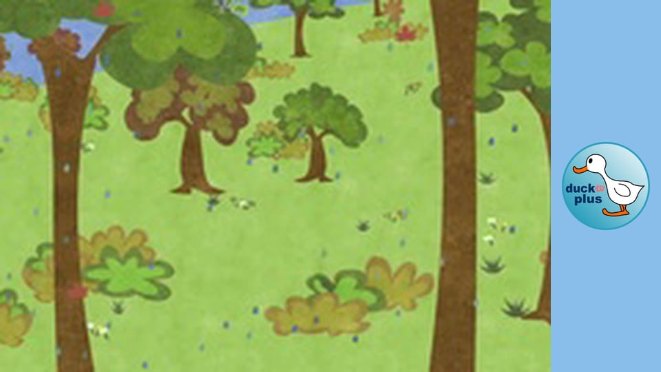 duckSchool - It is raining