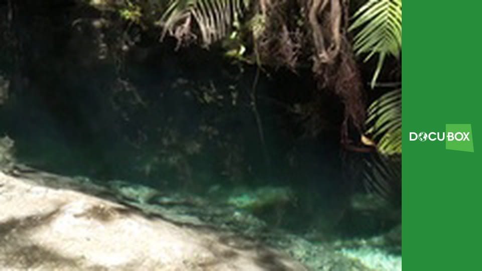 Podwodny świat S5E4