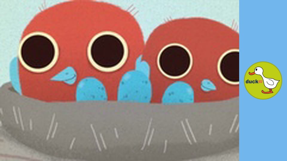 Nature Dudes - Birdy Eggs