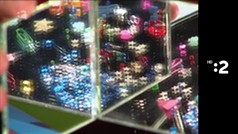 Rodinka líšok a jazvecov E23 - To je ale predstavenie!