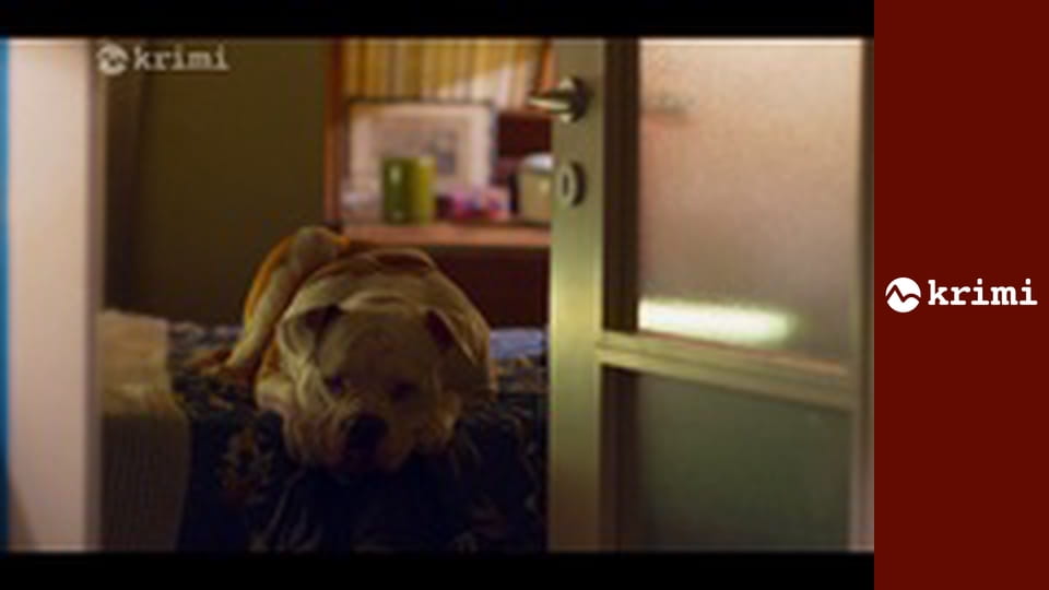 Blanca E10 - Škvrny 2.