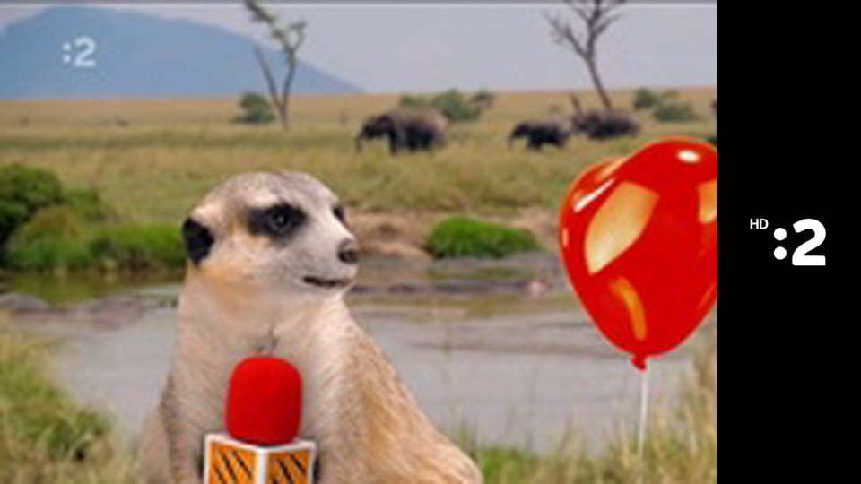 Čudná príroda E12