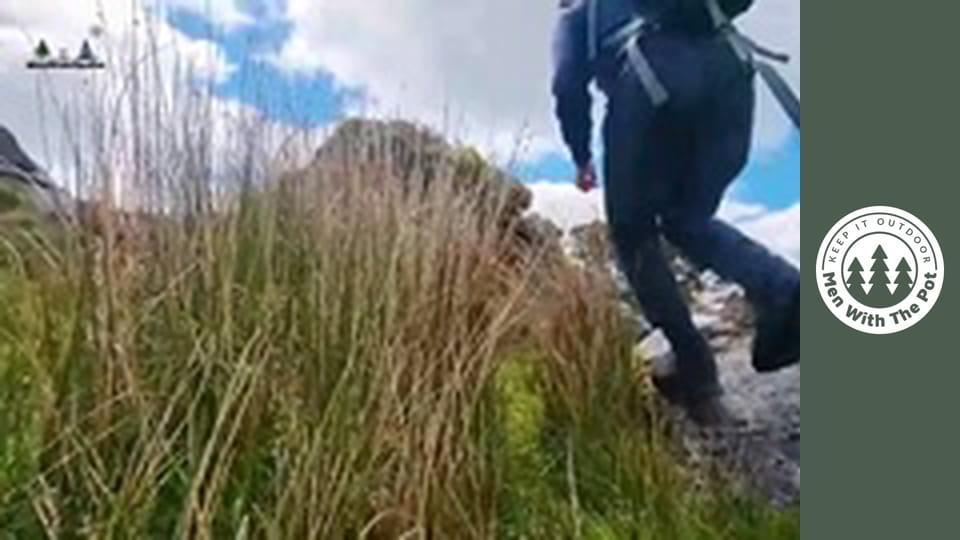 Not Your Traditional Ratatouille