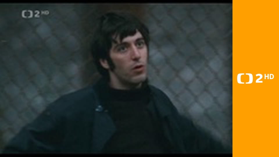 Panika v Needle Parku