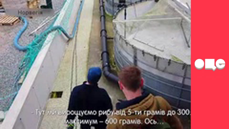 Заробітчани, 2 сезон, 26 еп.