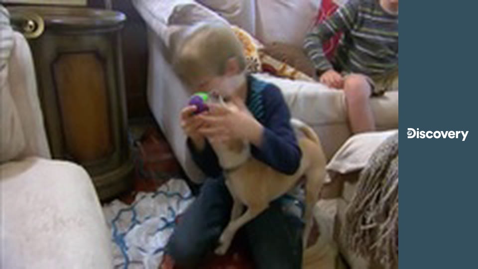 Lovci maličkých domov III (1)