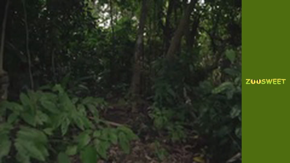 Escape to nature - episode 4