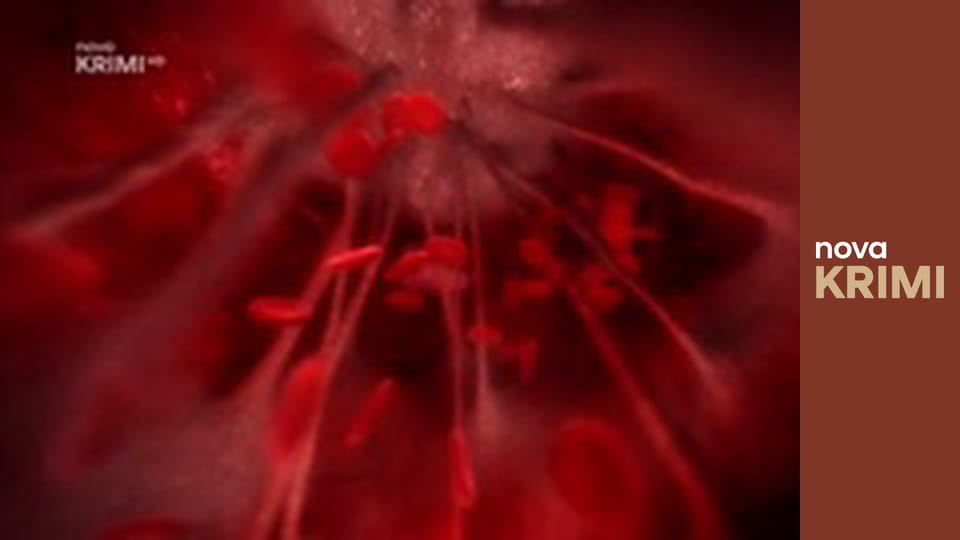 Dr. House S2E1 - Smíření